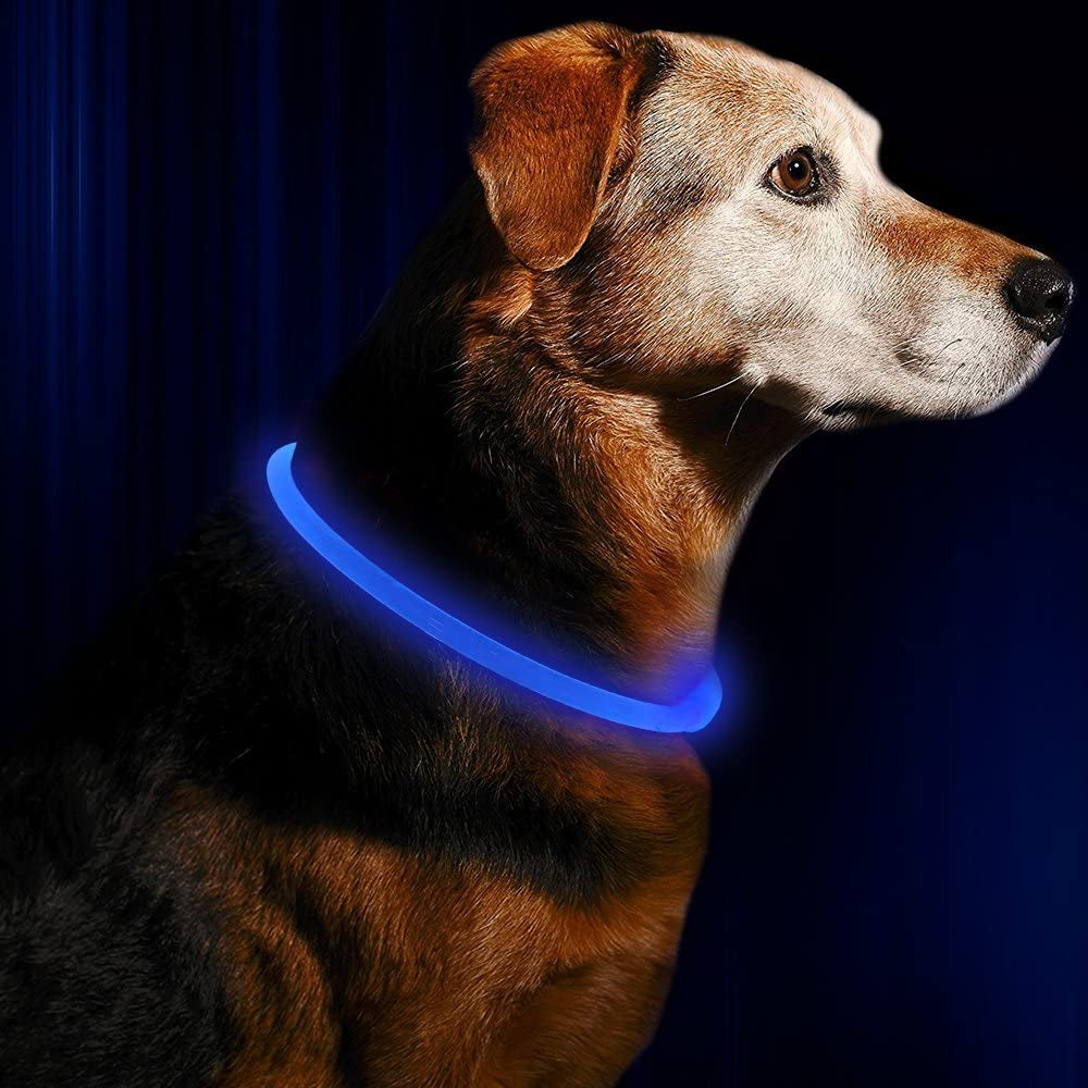 GlowSafe LED Dog Collar - USB Rechargeable Light-Up Safety Necklace for Dogs of All Sizes (Blue)