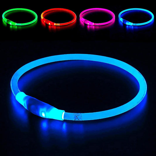 GlowSafe LED Dog Collar - USB Rechargeable Light-Up Safety Necklace for Dogs of All Sizes (Blue)